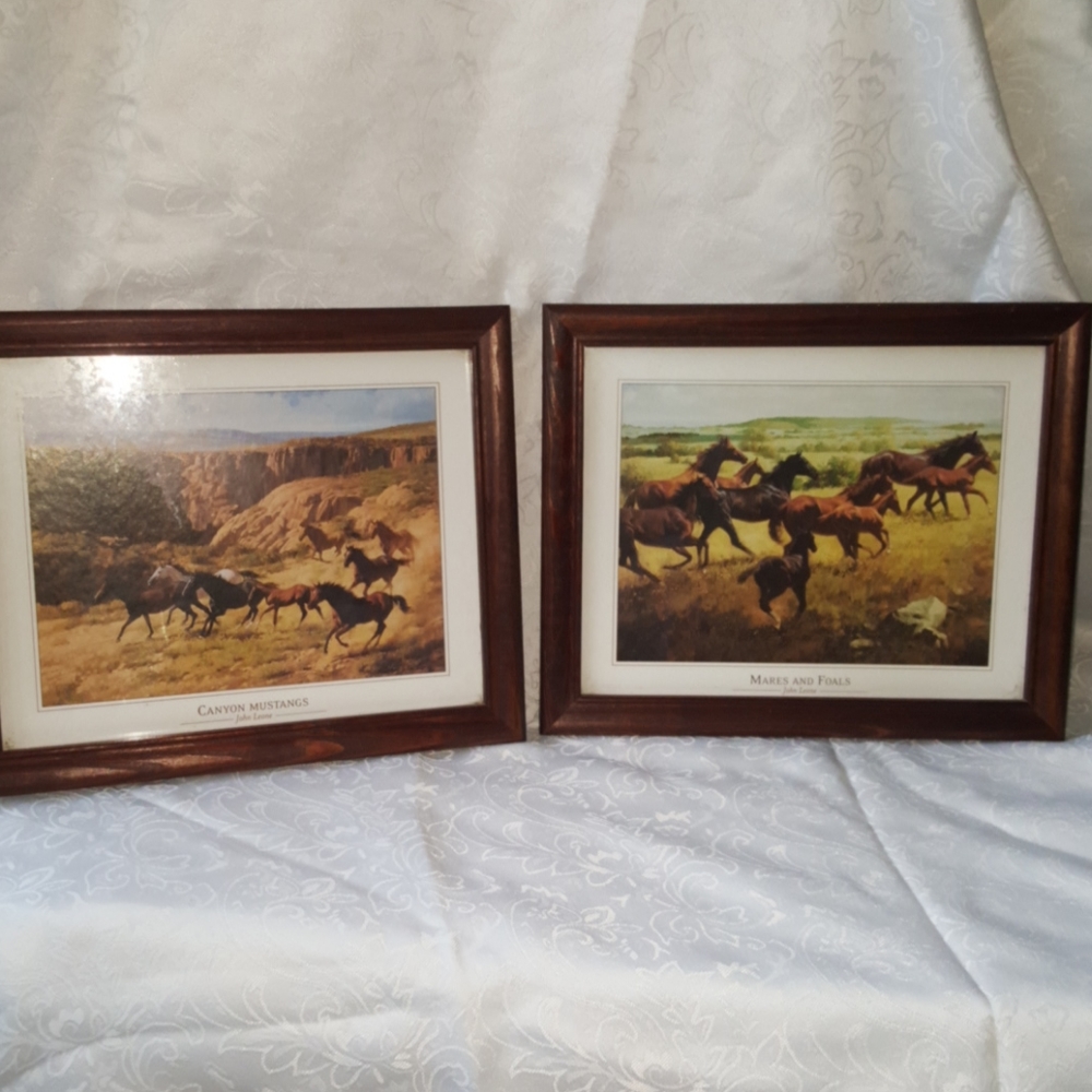 John Leone - Canyon Mustangs & Mare and Foals